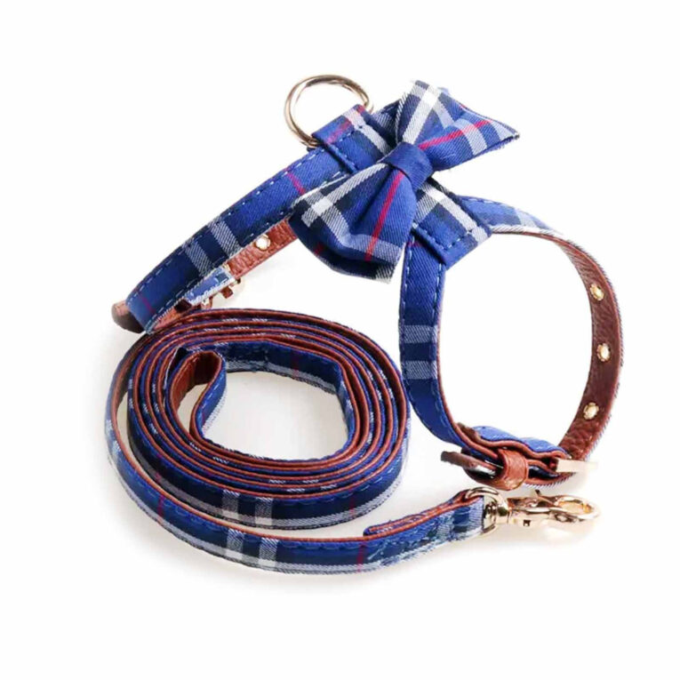 Geschirr f?r Hund und Katze mit Leine blau - L IN UNSEREM Hundeshop günstig kaufen