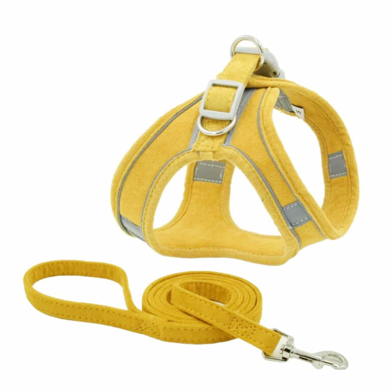 Geschirr f?r Hund und Katze mit Leine - L in gelb IN UNSEREM Hundeshop günstig kaufen