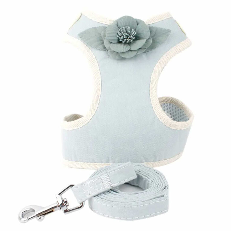 Geschirr f?r Hund und Katze mit Leine - M in hellblau IN UNSEREM Hundeshop günstig kaufen