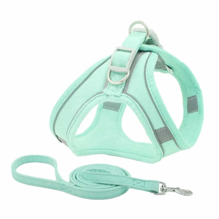 Geschirr f?r Hund und Katze mit Leine - M in t?rkis IN UNSEREM Hundeshop günstig kaufen