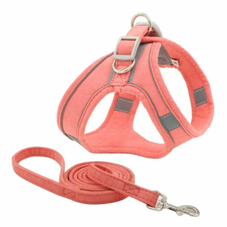 Geschirr f?r Hund und Katze mit Leine - S in pink