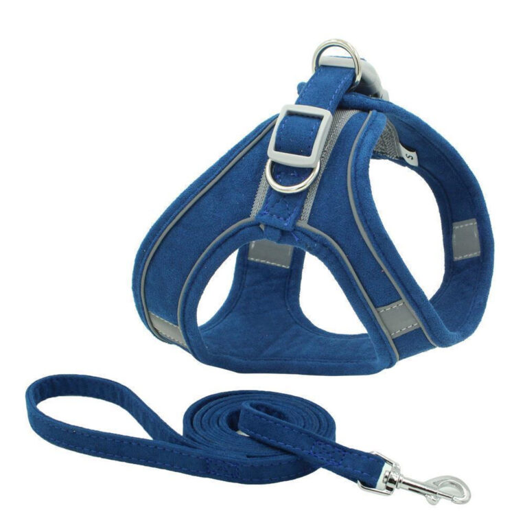 Geschirr f?r Hund und Katze mit Leine - XXS in blau IN UNSEREM Hundeshop günstig kaufen