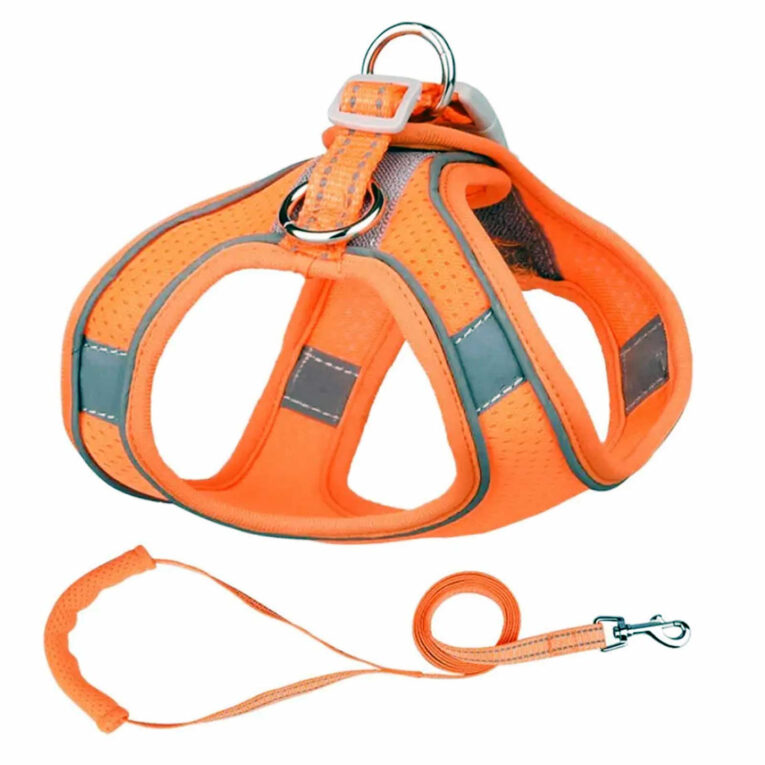 Geschirr f?r Hund und Katze mit Leine - XXS in orange IN UNSEREM Hundeshop günstig kaufen