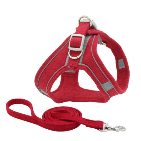 Geschirr f?r Hund und Katze mit Leine - XXXS in rot