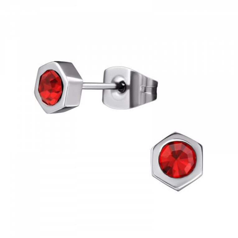 Hexagon Kinder Ohrringe Chirurgenstahl IN UNSEREM Hundeshop günstig kaufen
