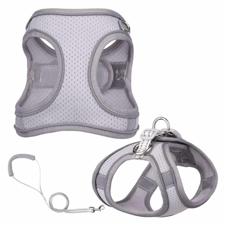 Hunde Geschirr Set mit Leine - XL in grau IN UNSEREM Hundeshop günstig kaufen