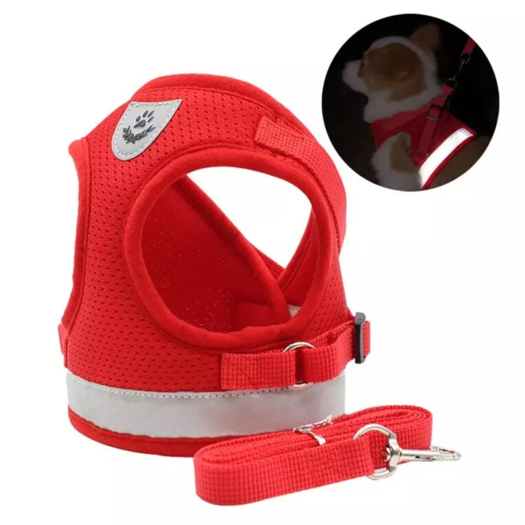 Hunde Geschirr Weste gepolstert mit Leine f?r kleine Hunde - S in rot IN UNSEREM Hundeshop günstig kaufen
