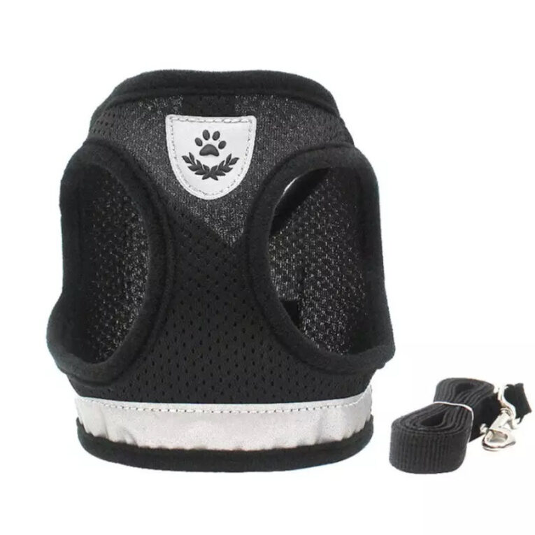 Hunde Geschirr Weste gepolstert mit Leine f?r kleine Hunde - XS in schwarz IN UNSEREM Hundeshop günstig kaufen