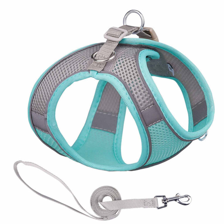 Hundegeschirr f?r kleine Hunde gr?n-grau - XS IN UNSEREM Hundeshop günstig kaufen
