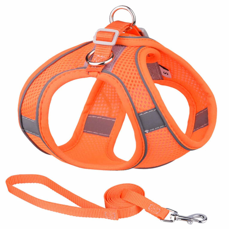 Hundegeschirr f?r mittelgro?e Hunde orange - L IN UNSEREM Hundeshop günstig kaufen