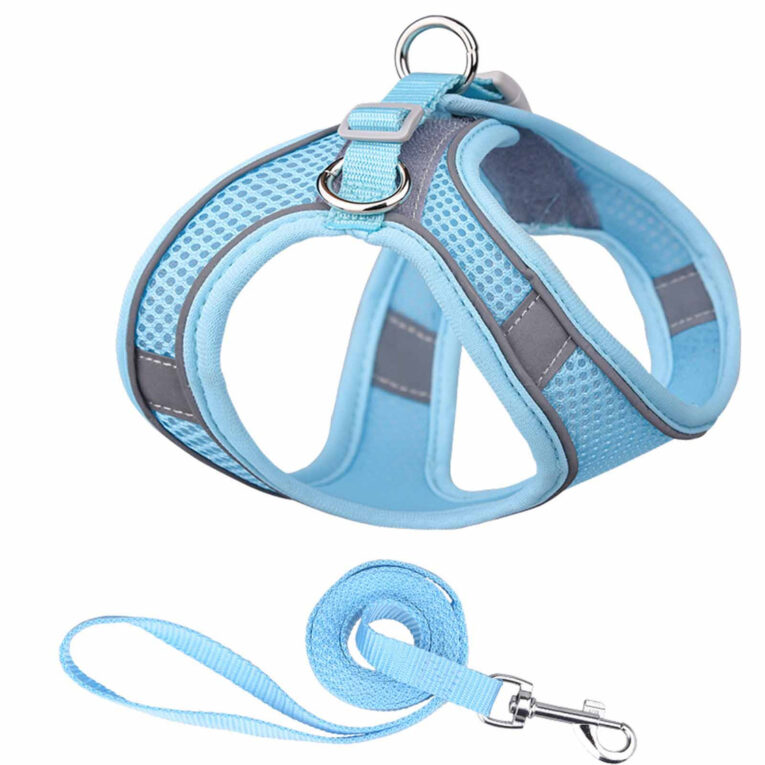 Hundegeschirr f?r mittlere Hunde hellblau - M IN UNSEREM Hundeshop günstig kaufen