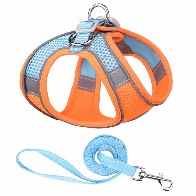 Hundegeschirr f?r mittlere Hunde orange-blau - M IN UNSEREM Hundeshop günstig kaufen