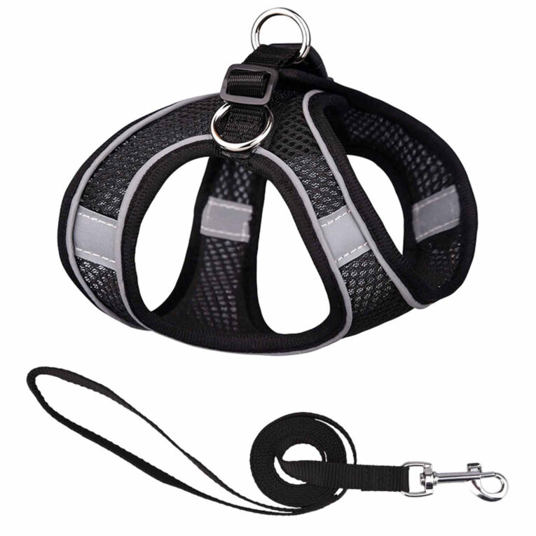 Hundegeschirr f?r mittlere Hunde schwarz - M IN UNSEREM Hundeshop günstig kaufen