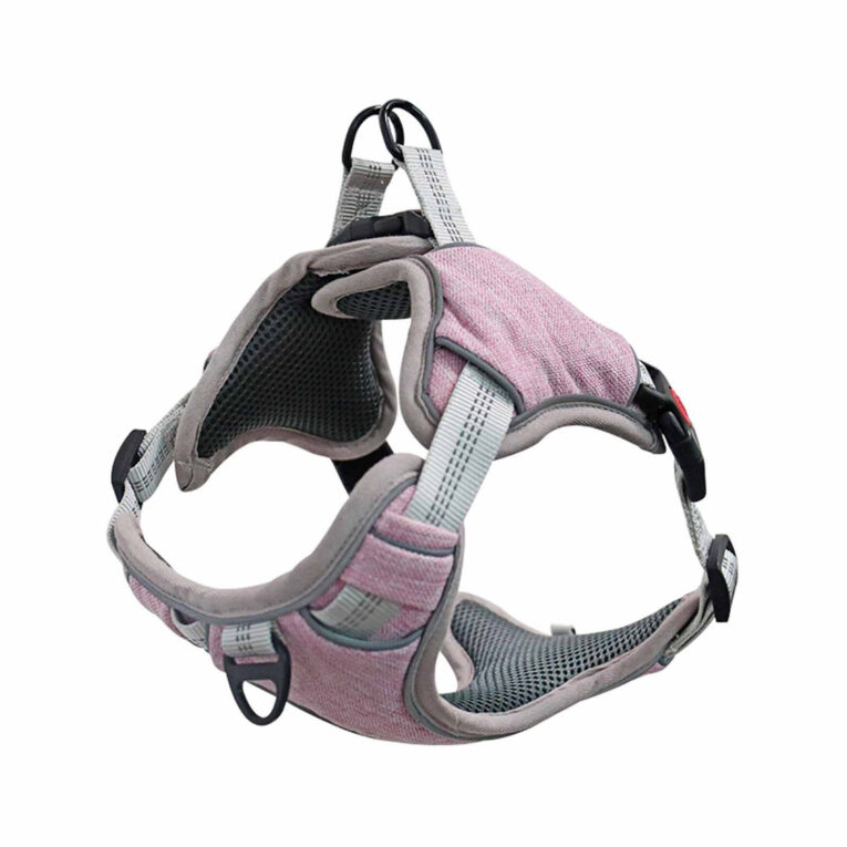 Hundegeschirr gepolstert pink - S IN UNSEREM Hundeshop günstig kaufen