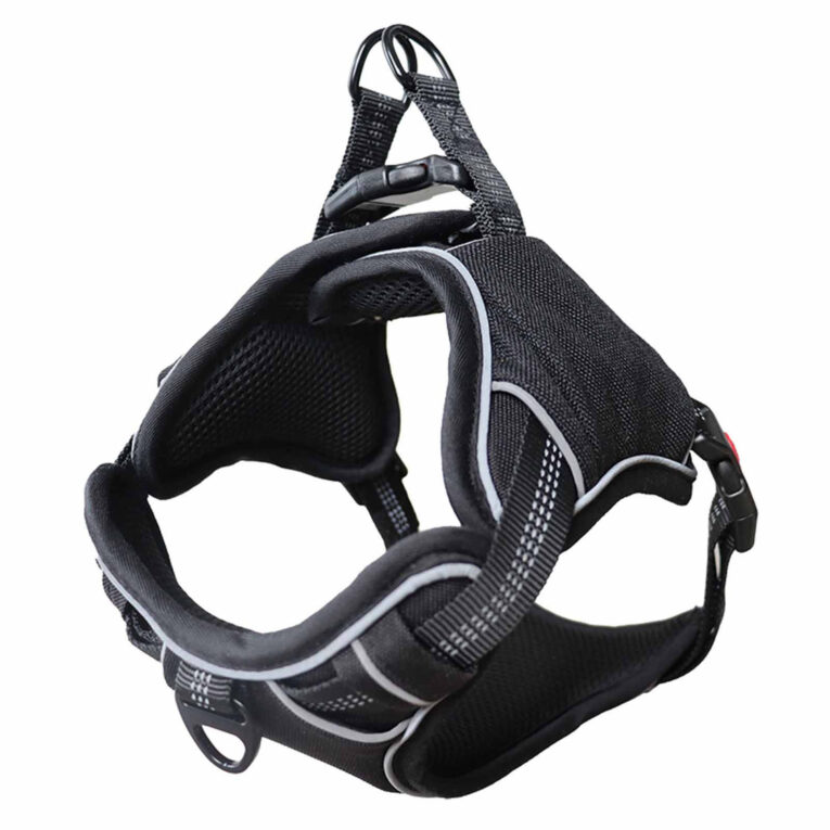Hundegeschirr gepolstert schwarz - S IN UNSEREM Hundeshop günstig kaufen