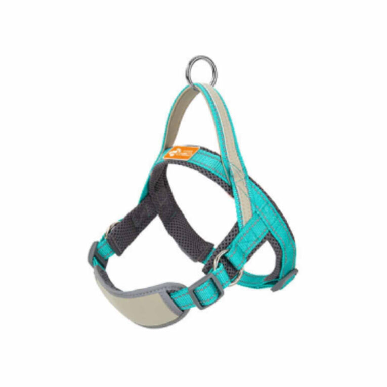 Hundegeschirr reflektierend Gr??e einstellbar mit Griff - S in t?rkis IN UNSEREM Hundeshop günstig kaufen
