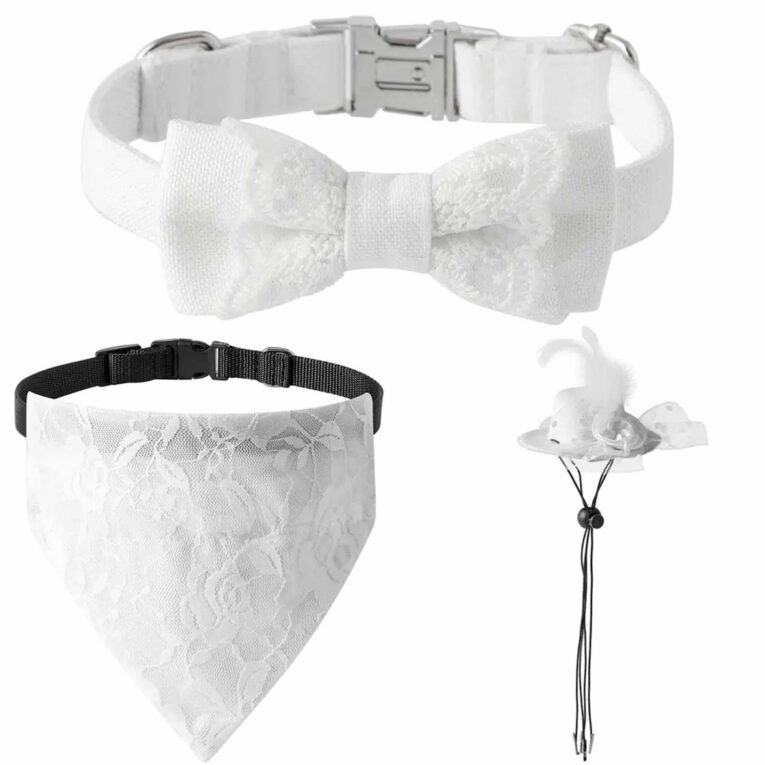 Hundehalsband Hochzeit Set mit Schleife