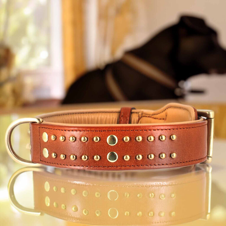 Hundehalsband aus Leder braun mit Nieten XS-S IN UNSEREM Hundeshop günstig kaufen