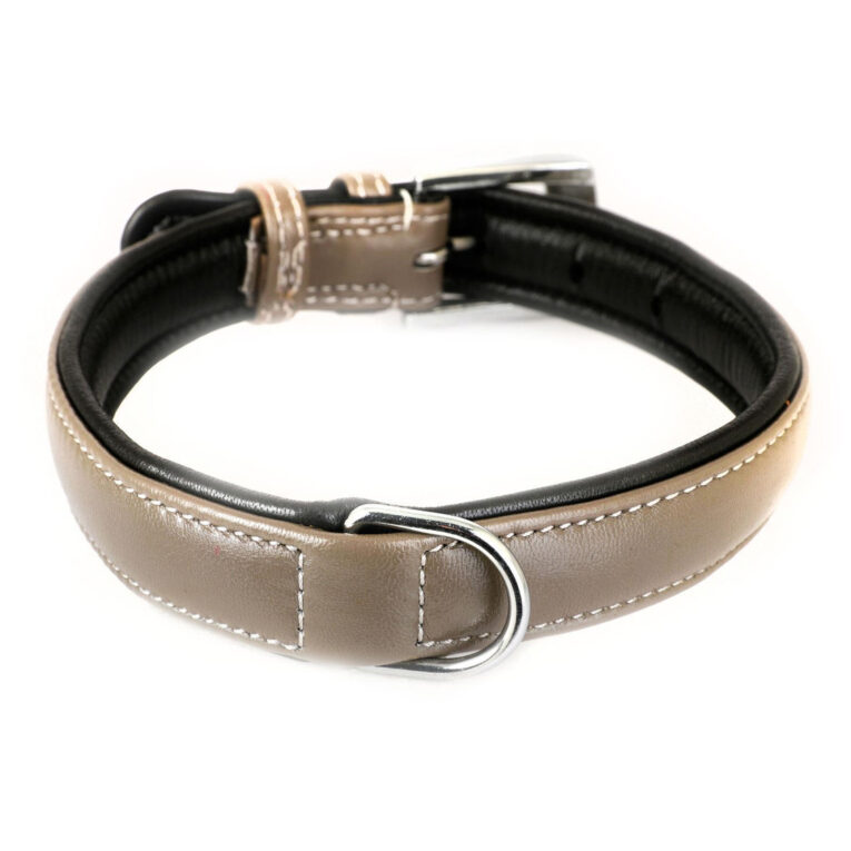 Hundehalsband aus Leder grau gepolstert S-M IN UNSEREM Hundeshop günstig kaufen