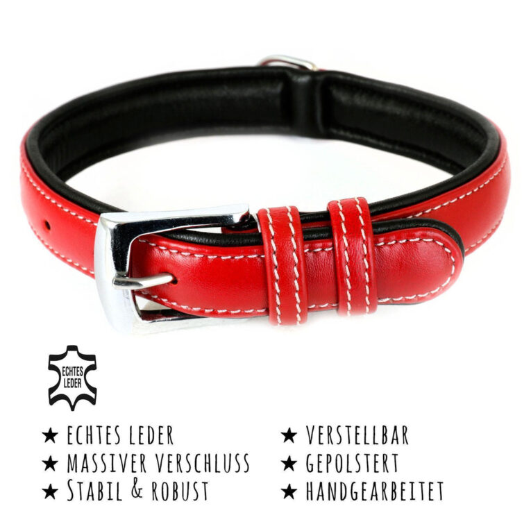 Hundehalsband aus Leder rot gepolstert S-M IN UNSEREM Hundeshop günstig kaufen