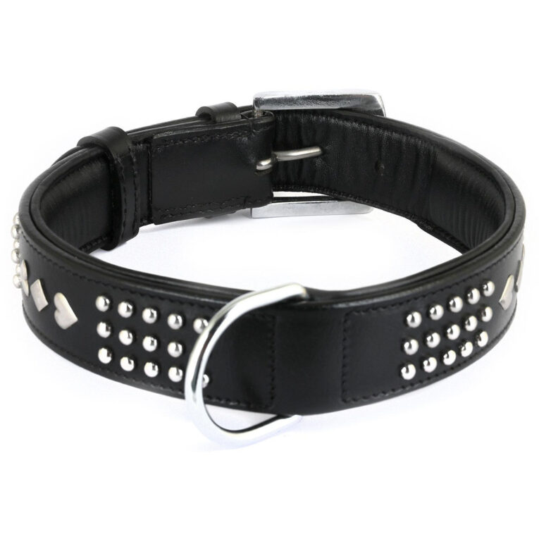 Hundehalsband aus Leder schwarz mit Nieten M-L IN UNSEREM Hundeshop günstig kaufen