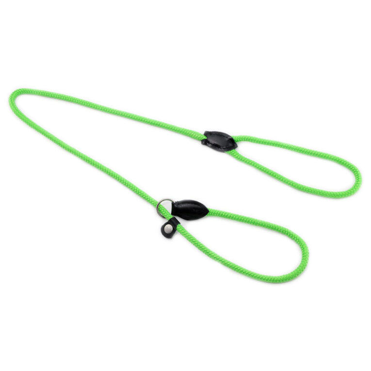 Hundeleine aus Nylon IN UNSEREM Hundeshop günstig kaufen