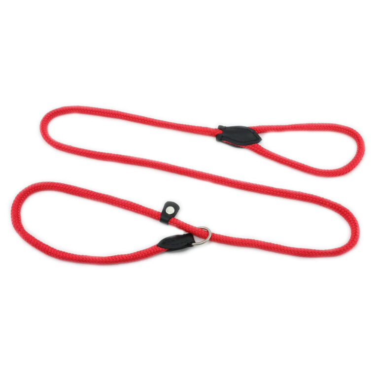 Hundeleine aus Nylon IN UNSEREM Hundeshop günstig kaufen
