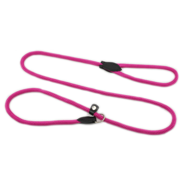 Hundeleine aus Nylon IN UNSEREM Hundeshop günstig kaufen