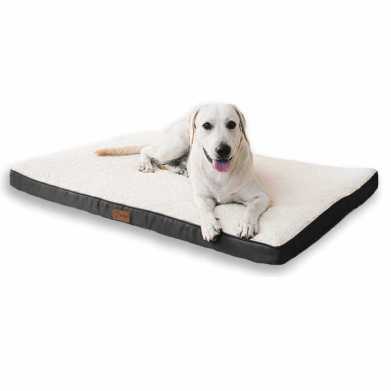 Orthop?disches Hundebett f?r gro?e Hunde - XL IN UNSEREM Hundeshop günstig kaufen