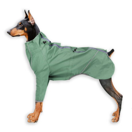 Regenmantel Hund in gr?n - M