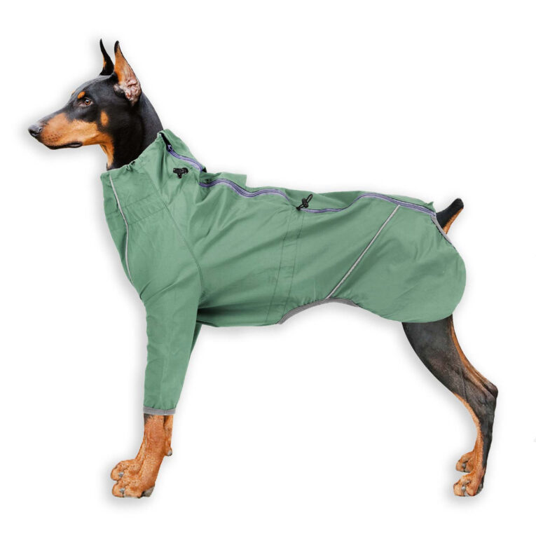 Regenmantel Hund in gr?n - XS IN UNSEREM Hundeshop günstig kaufen