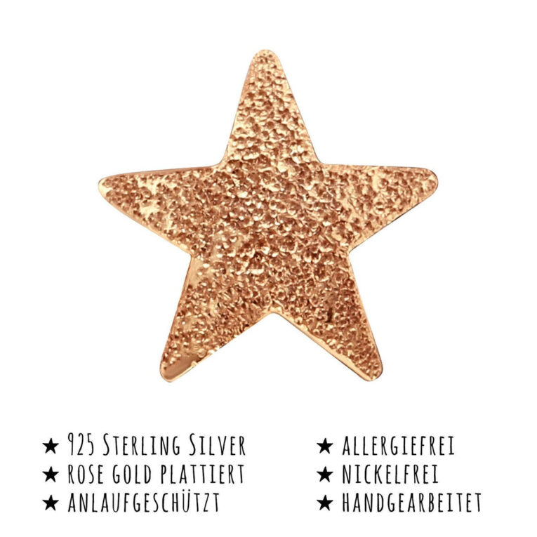 Stern Ohrringe aus 925 Silber IN UNSEREM Hundeshop günstig kaufen