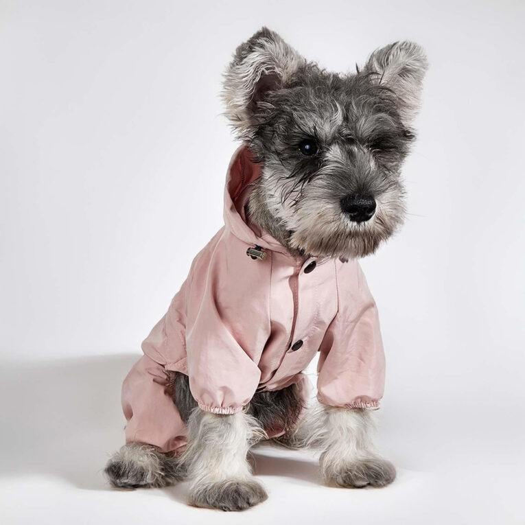 Wasserdichter Regenmantel f?r Hunde und Katzen IN UNSEREM Hundeshop günstig kaufen