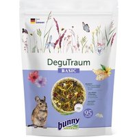 Bunny DeguTraum 1