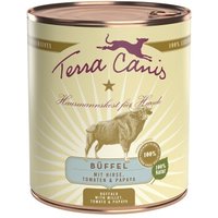 Terra Canis Classic Adult 6x800g Büffel mit Hirse