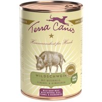 Terra Canis Classic Adult 6x400g Wildschwein mit Naturreis