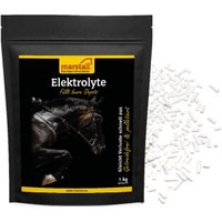 marstall Elektrolyte 1 kg