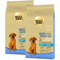 SELECT GOLD Sensitive Maxi Junior Insekt 12kg 2x12 kg