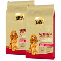 SELECT GOLD Sensitive Adult Medium Pferd und Tapioka 2x12 kg