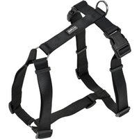 AniOne H-Geschirr Classic Nylon schwarz XL