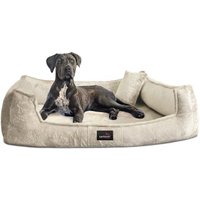 Tierlando ® Orthopädisches Hundebett FRANKLIN Kuscheliger Teddy-Stoff - Hundesofa creme 1