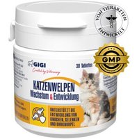 GIGI VET Katzenwelpen Wachstum & Entwicklung