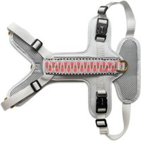 Hey Lana Premium Geschirr Gepolstert mit Reflektoren und Haltegriff creme/ pink M