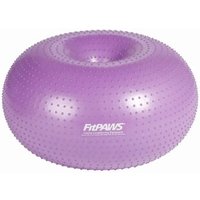 FitPaws Haustier-Fitnessball