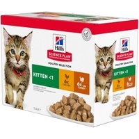 Hill's Science Plan Kitten Multipack Truthahn und Huhn 24x85 g