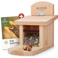 wildtier liebe Eichhörnchen Futterhaus