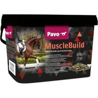 PAVO Ergänzungsfutter MuscleBuild 3 kg