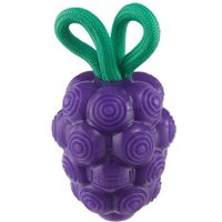 Planet Dog Dental Hundespielzeug