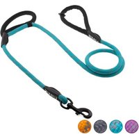 Floxik Tauleine für Hunde - 1,5m Hundeleine mit Zwei Griffen türkis