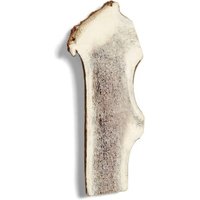 Supravit Rothirsch-Geweihhälfte für Hunde – 100 % Natur, gespalten, Zahnpflege & Kauspaß L